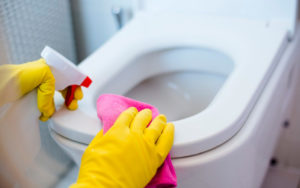Limpeza de Vaso Sanitário: Como Fazer?